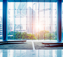 UV Protection and Privacy Window Film Solutions