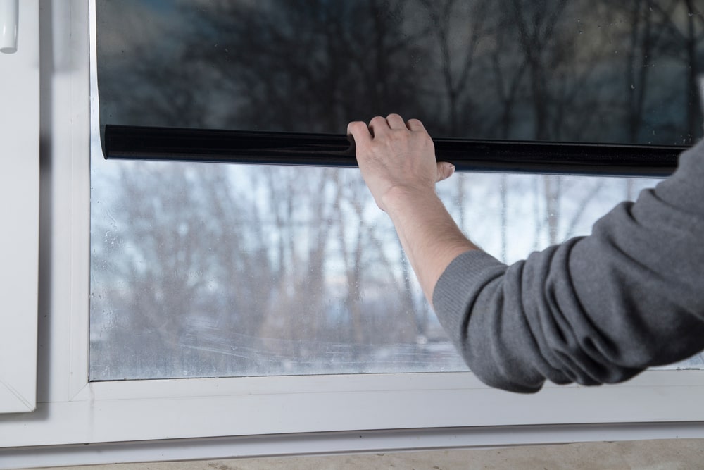 Solar Screen vs. Window film
